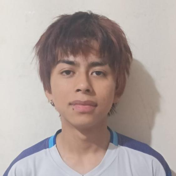 User Image