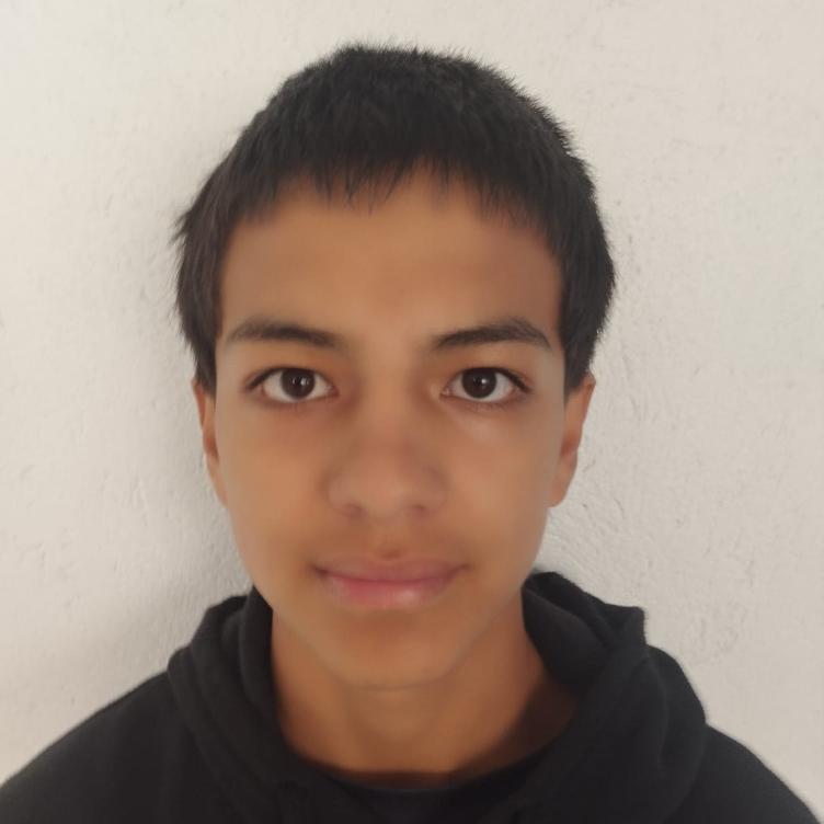 User Image